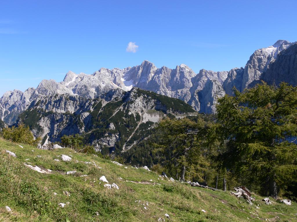 Pod Ponco Apartments Kranjska Gora Exteriör bild