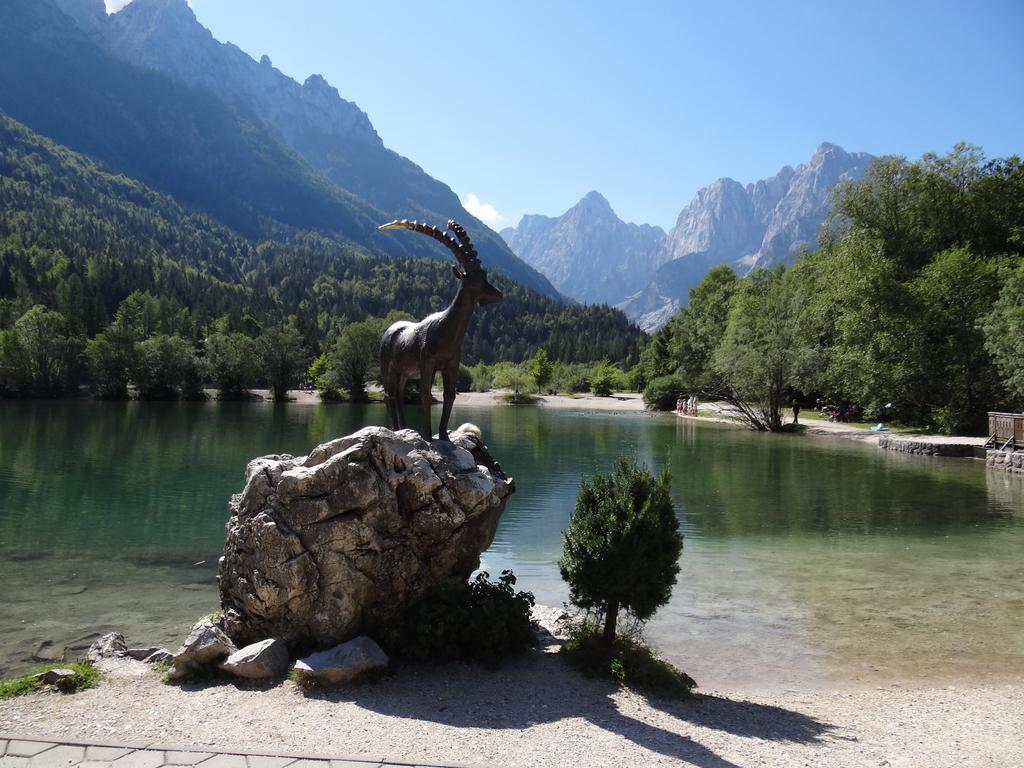 Pod Ponco Apartments Kranjska Gora Exteriör bild