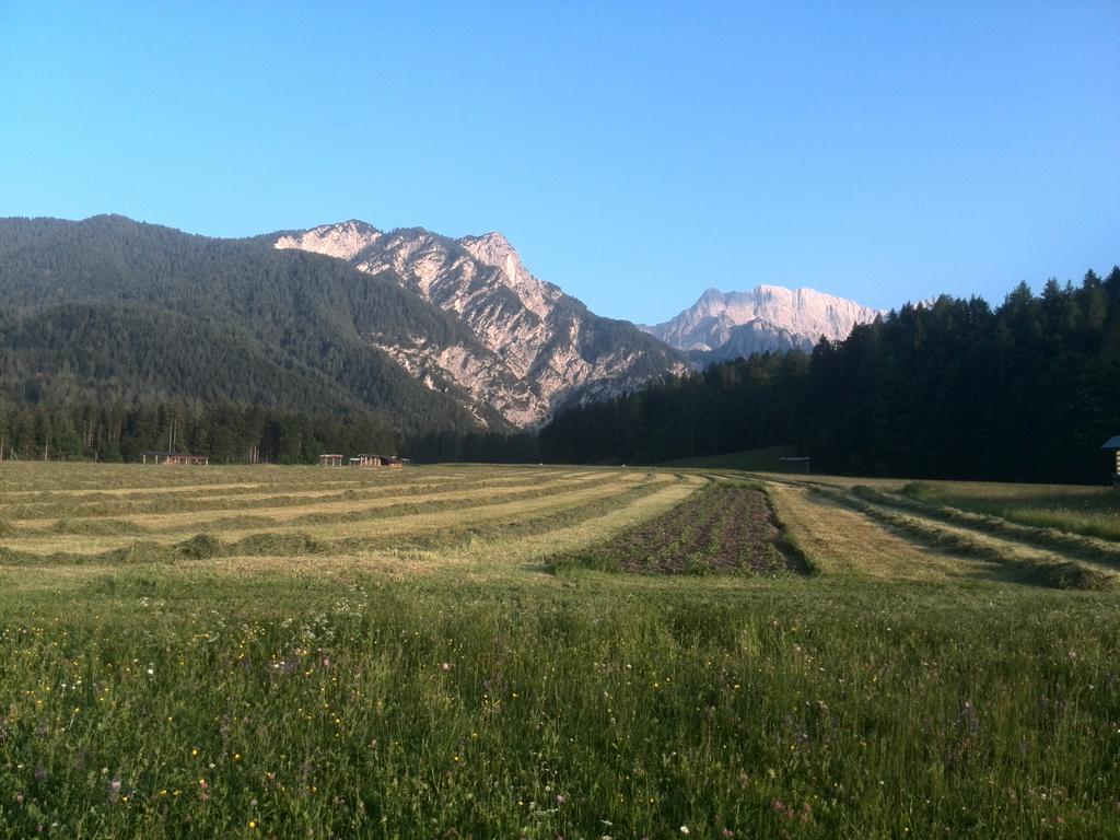 Pod Ponco Apartments Kranjska Gora Exteriör bild