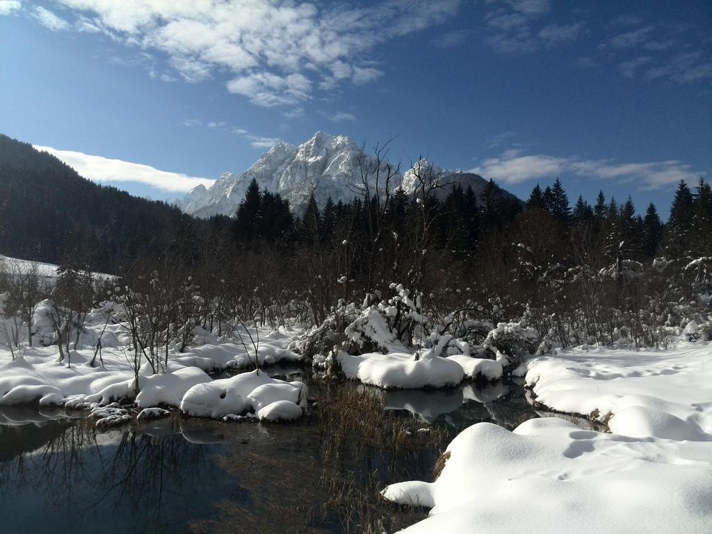 Pod Ponco Apartments Kranjska Gora Exteriör bild